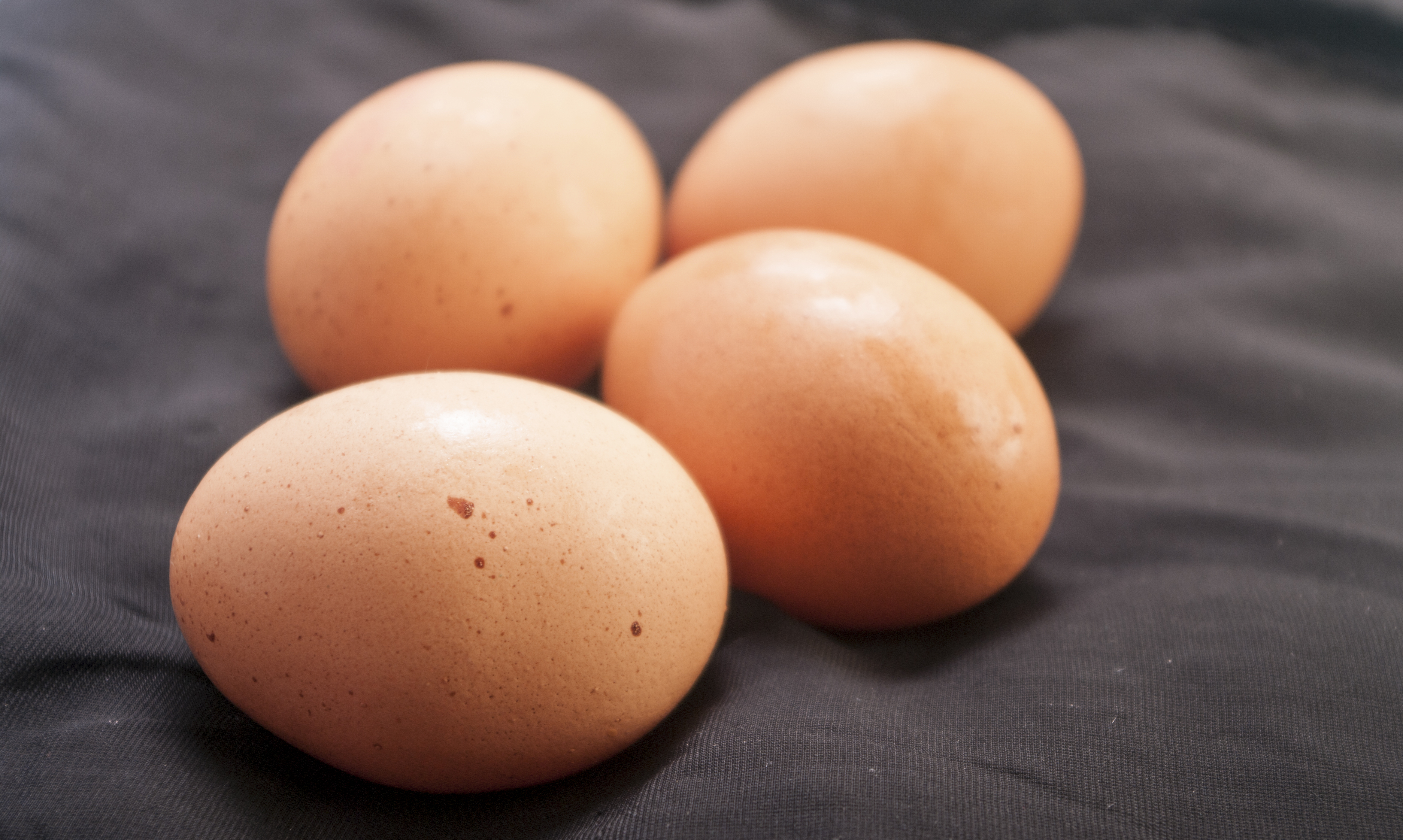 Vitamin B12 How to Reach an Optimized Level for Women