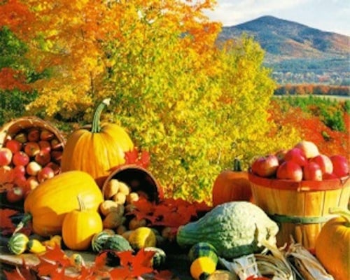 fall_foods_image_sized