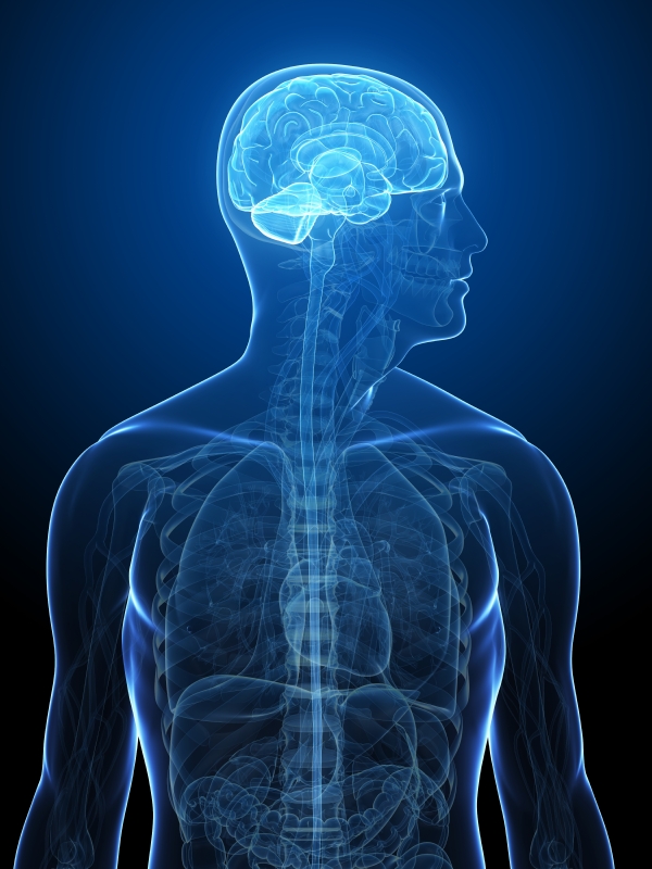 Brain Brain