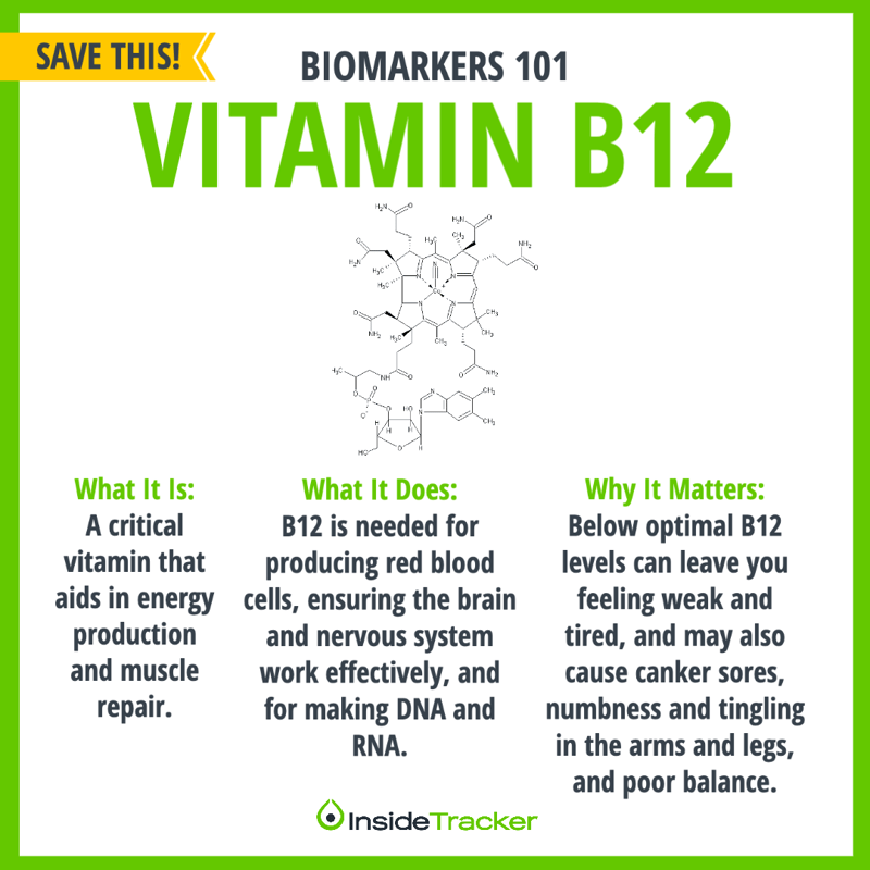 Vitamin B12: How to Reach an Optimized Level for Women