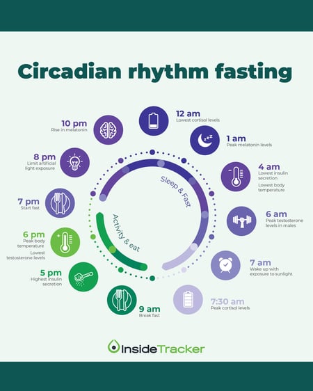 Circadian rhythm fasting