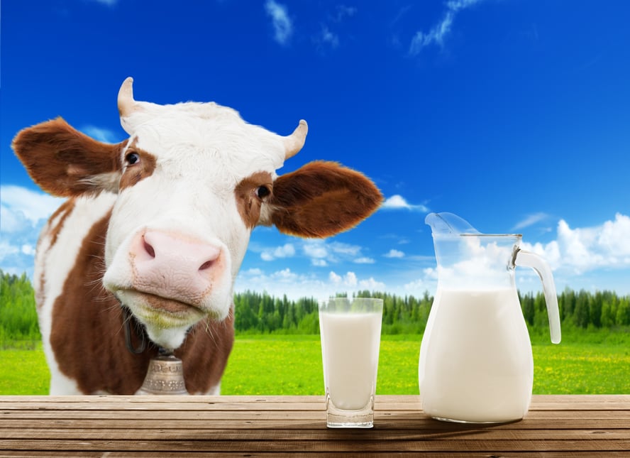 Dairy vs. NonDairy Which Milk Should You Choose?
