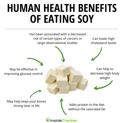 Current research on soy