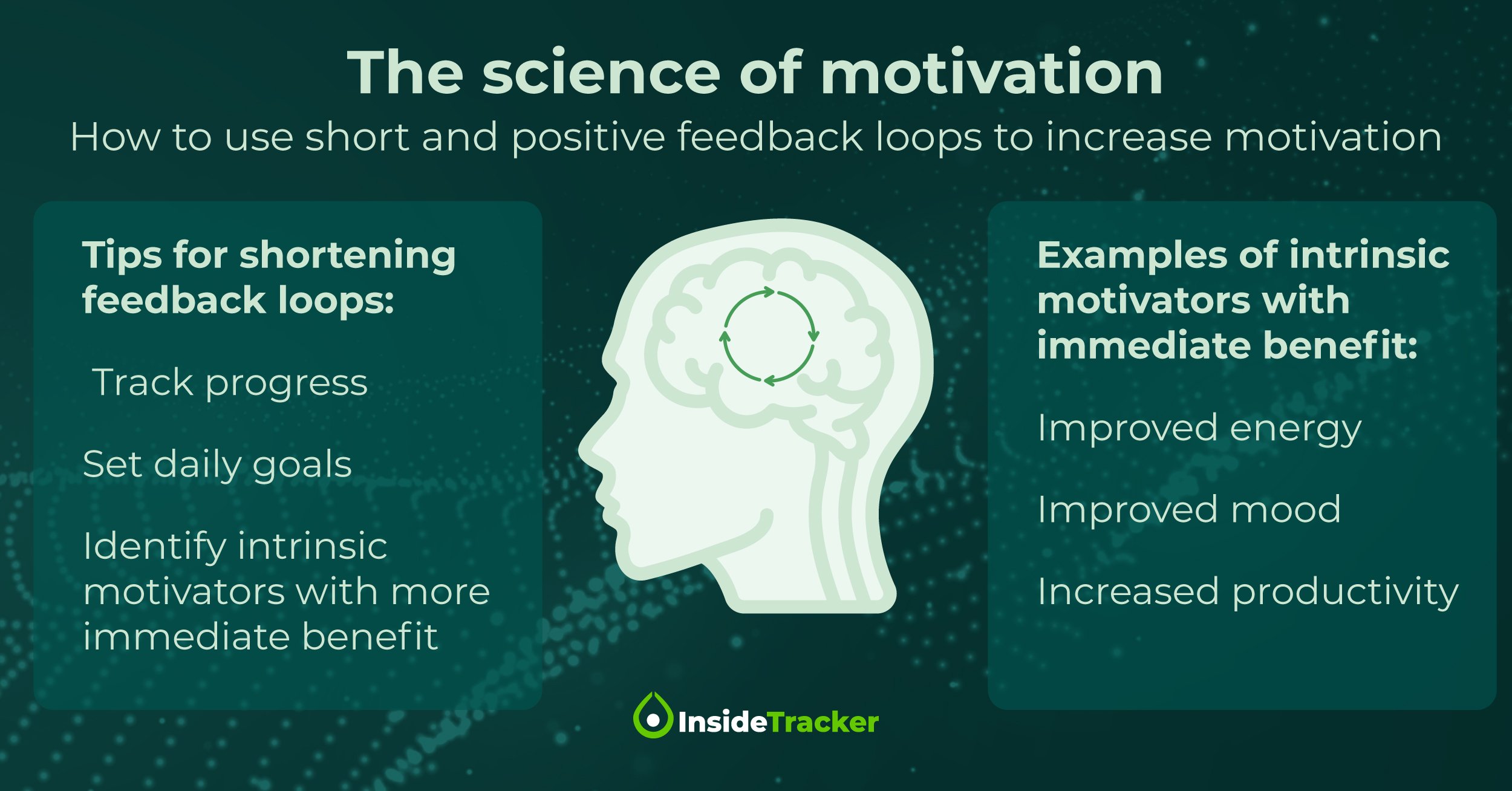 Dr. Wolin feedbackloops