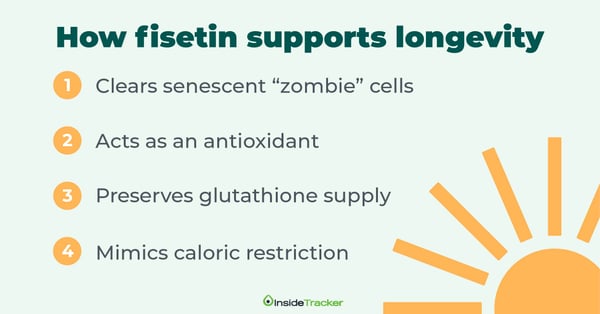Benefits of fisetin 