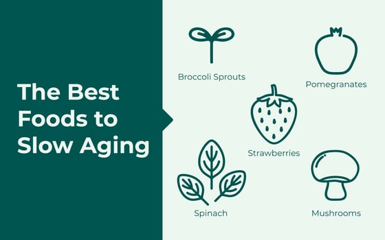 The best foods to slow aging