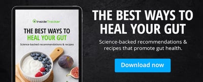 gut health ebook