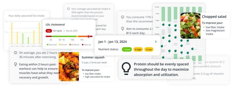 Nutrition DeepDive report collage