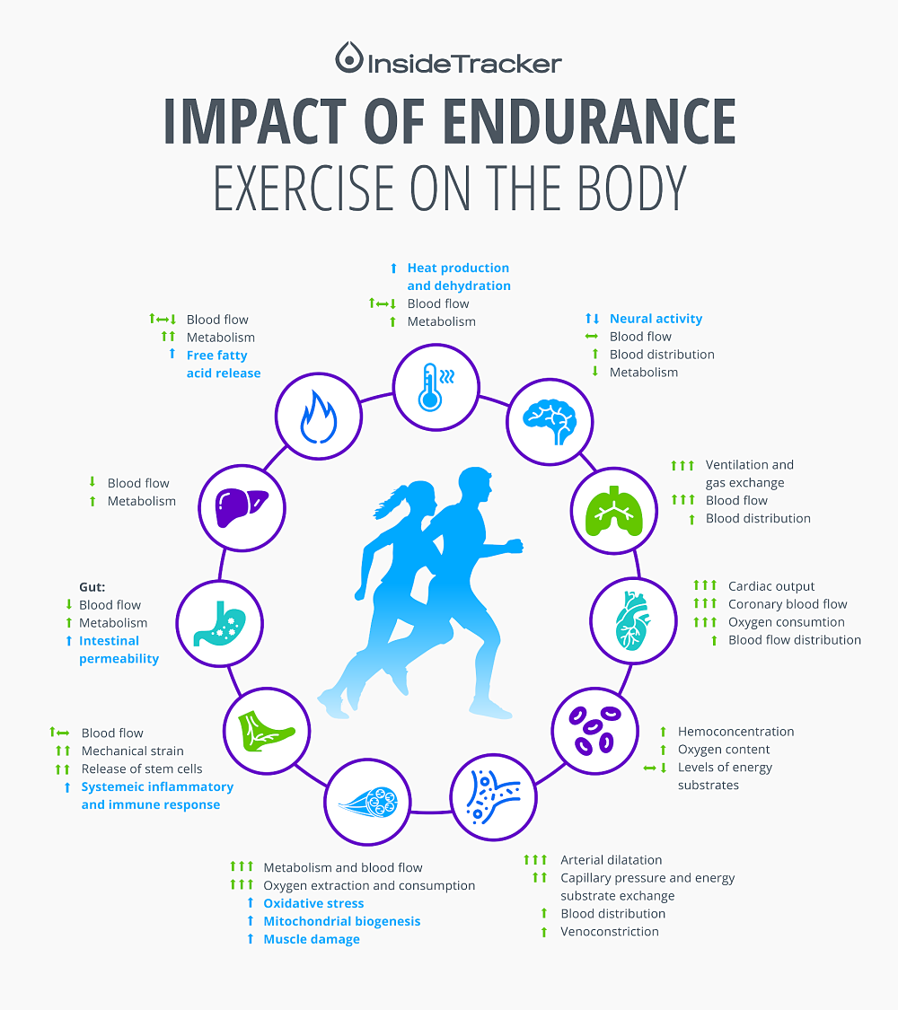 Gut Health and Athletic Performance_telomere-reduction-white (1)_opt