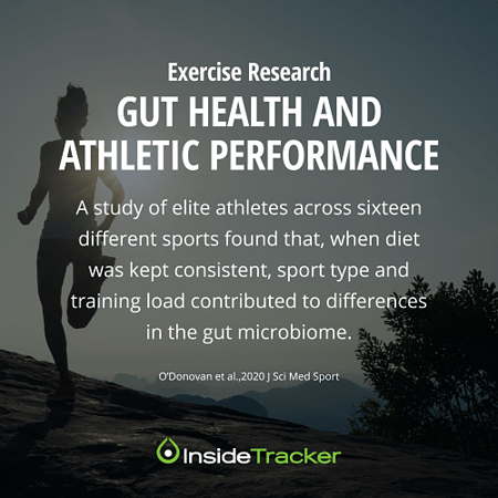 Gut Health ans Athletic Performance 1_opt