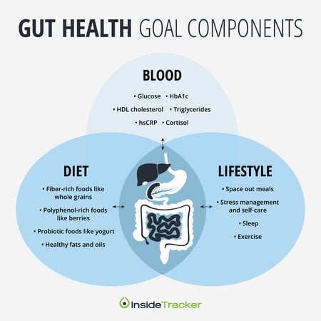Gut health and recovery