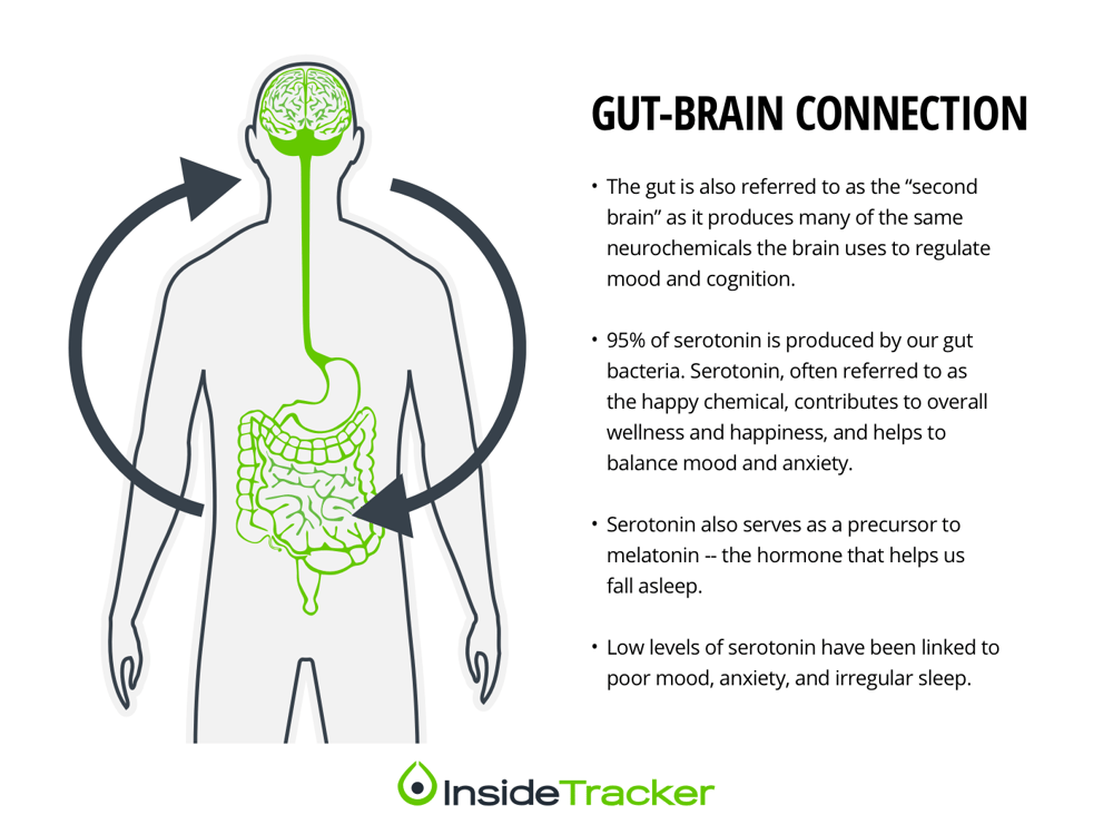 HL_Gut-Brain Connection