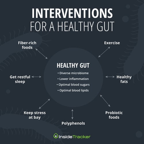 InterventionsForAHealthyGut (1)_opt