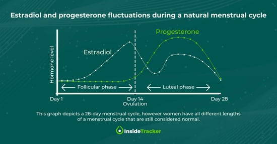 Estradiol and progesterone levels during the menstrual cycle