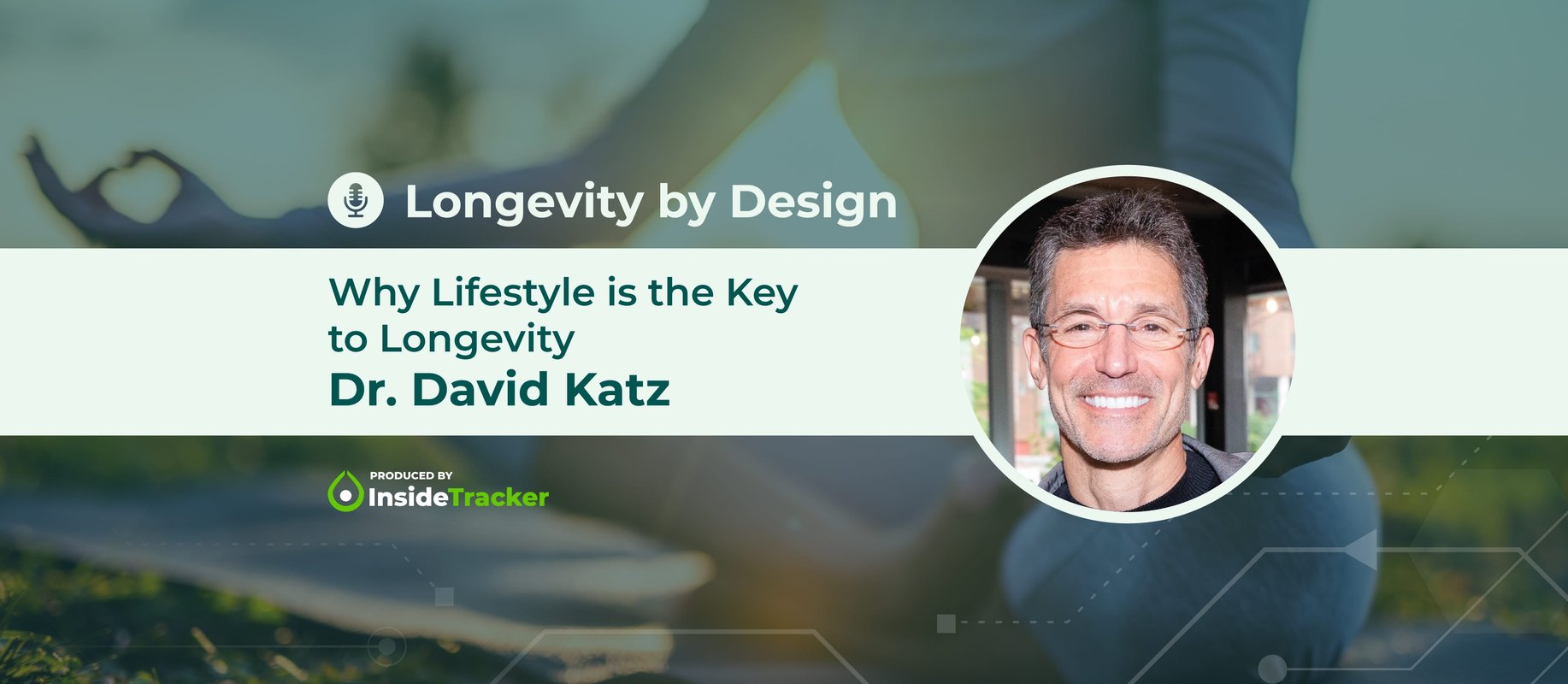 LBD_Header Image_David Katz