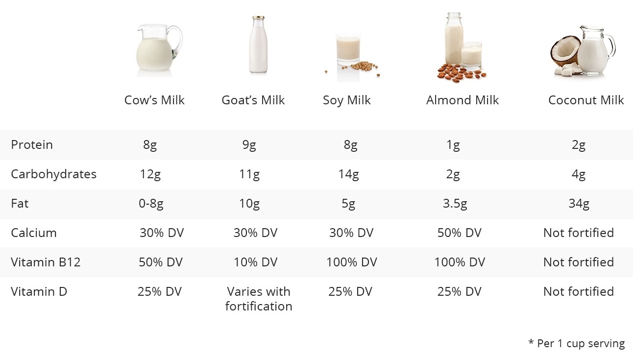 Dairy vs. NonDairy Which Milk Should You Choose?
