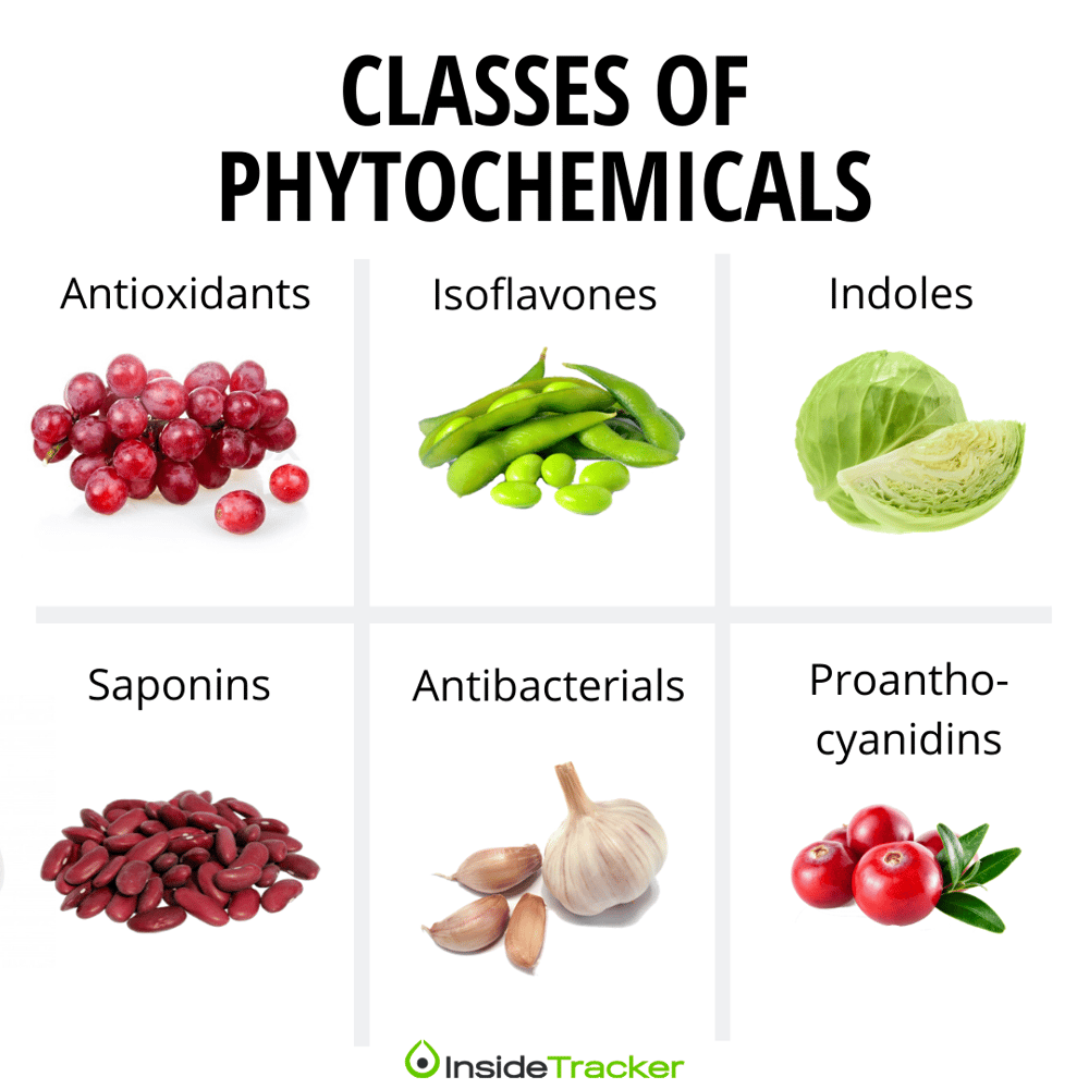 Phytochemicals Why You Should Eat The Rainbow