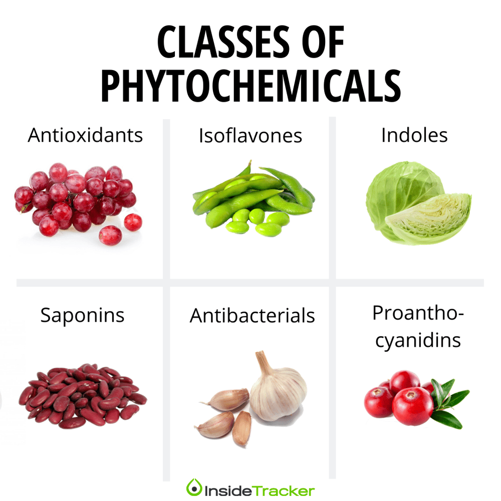 Phytochemicals Why You Should Eat the Rainbow