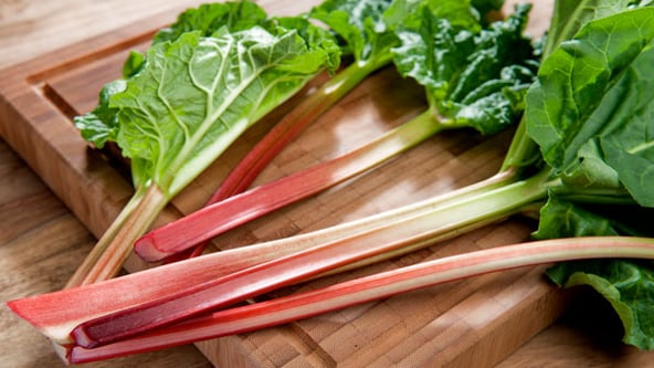 Rhubarb.jpg