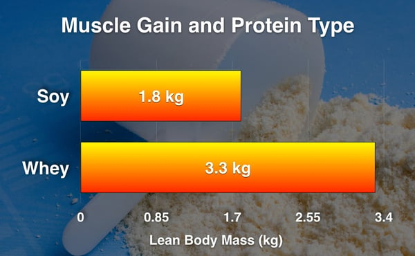 Soy and whey protein supplements and muscle gains