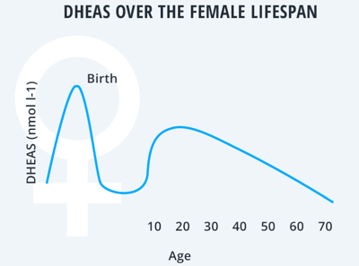 Using Dheas As A Biomarker Of Aging In Women