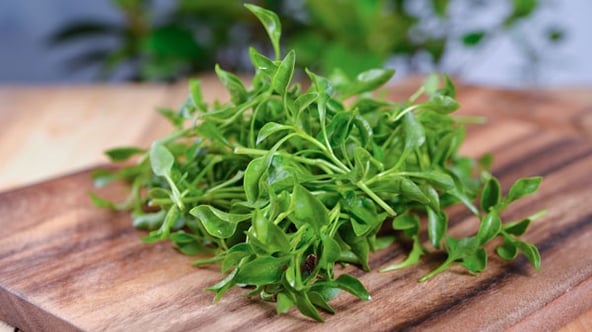 Health benefits of watercress