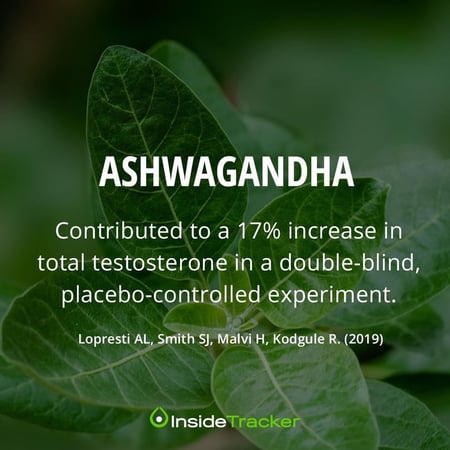 Ashwagandha can lower stress levels