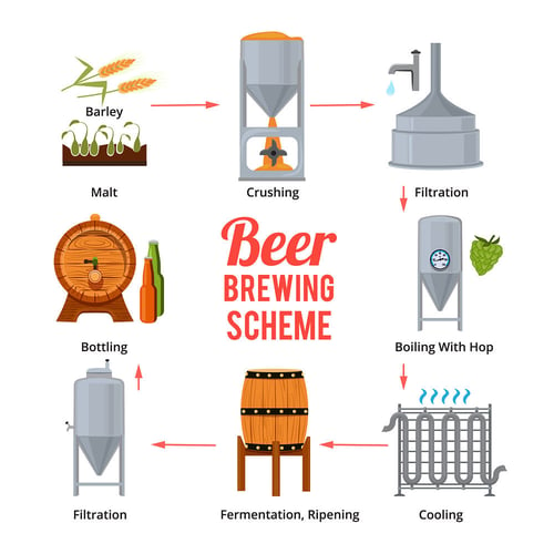 beer fermentation process