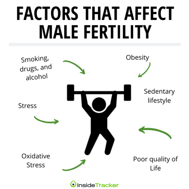 causes of male fertillity