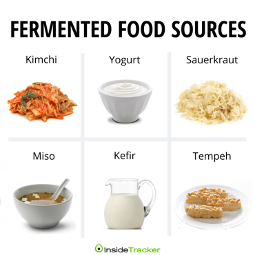 fermented foods immunity