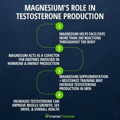 How magnesium impacts testosterone production
