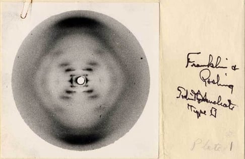 photo 51 rosalind franklin