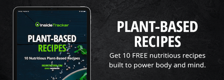 plant based recipes ebook banner small