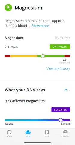 shalane magnesium