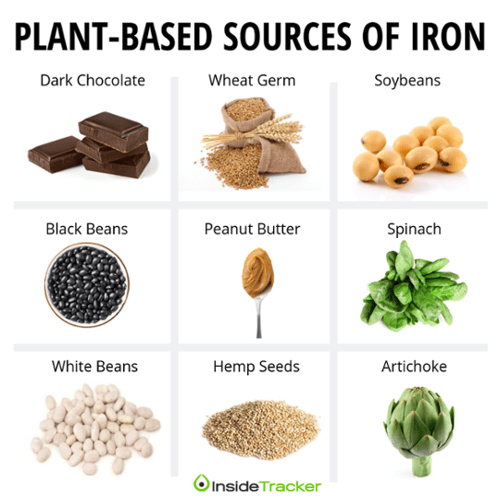 Plant based sources of iron-1