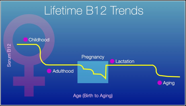 Vitamin B12 Levels Chart