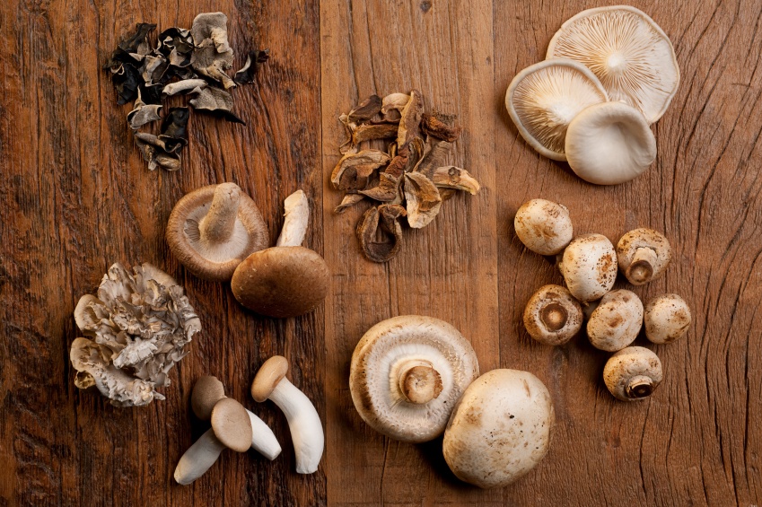 Edible_mushrooms