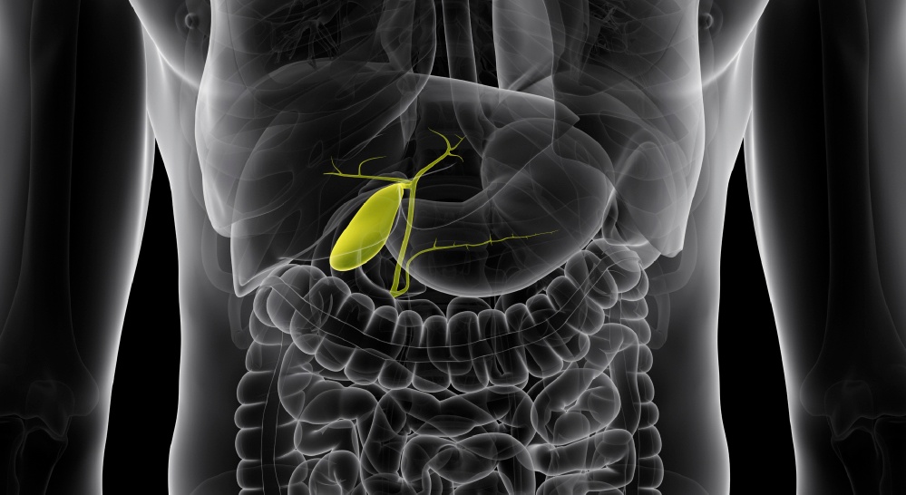 Psyllium Spotlight A Simple Way to Improve Your Metabolism