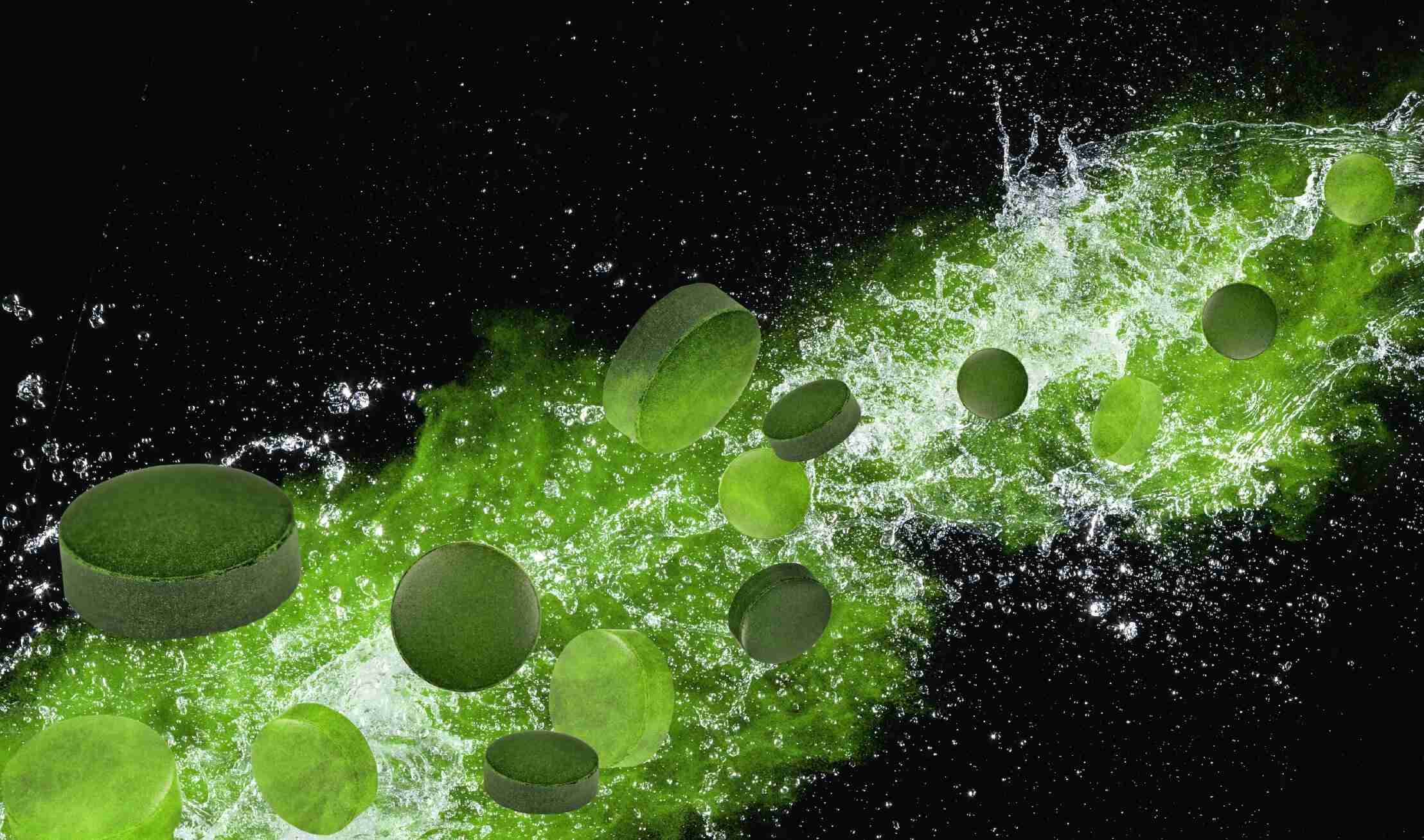 Spirulina_Header