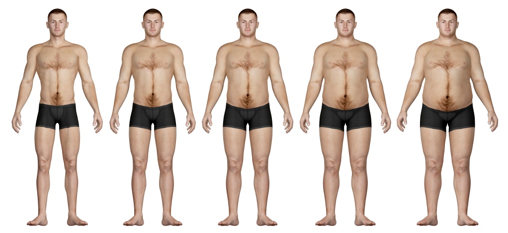 Body Fat Distribution